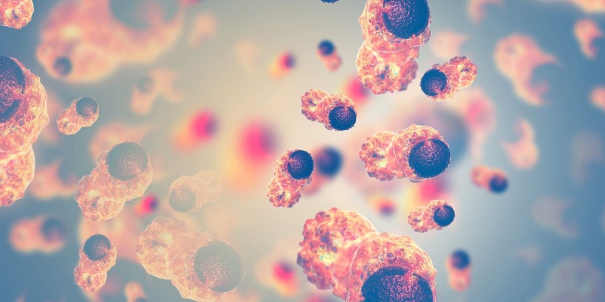 tobacco industry denies cancer link A Frank Statement International Research on Tobacco Use