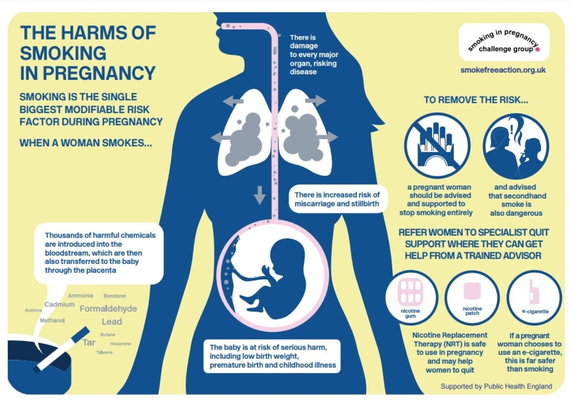 how to stop smoking cigarettes while pregnant Training infographics and guide how to stop smoking cigarettes while pregnant Training infographics and guide